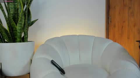 sebastian online show from November 22, 11:20 am