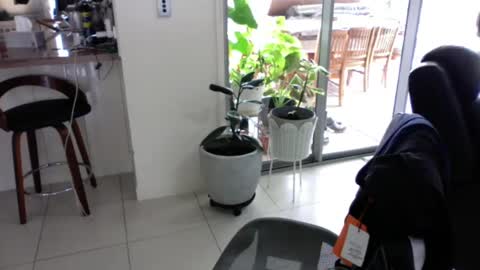 sebastianalll online show from December 30, 12:22 am