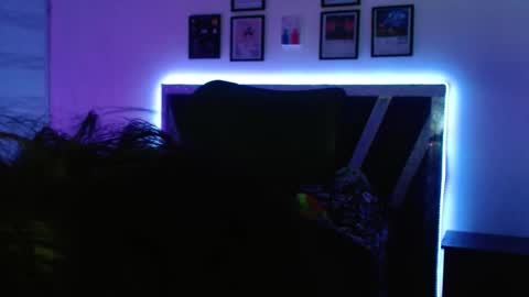 Snapshot of sebasxxl12 chatting on October 9, 3:48 am Sebas online show from October 9, 3:48 am