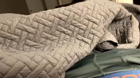 Snapshot of secretlyseductive9399 chatting on December 8, 1:14 pm secretlyseductive9399 online show from December 8, 1:14 pm