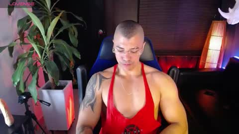 sed online show from December 14, 8:45 am
