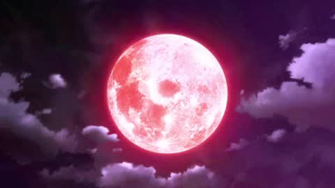 Selene G  online show from April 8, 3:17 am