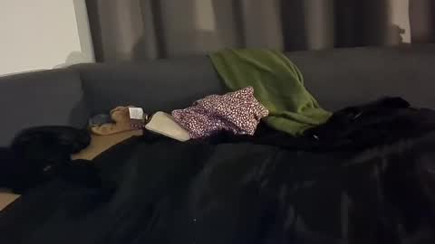 Julian Kinky Bi-guy online show from January 3, 5:06 am