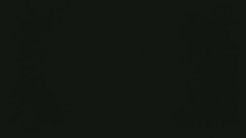 selfpound online show from December 15, 4:33 pm