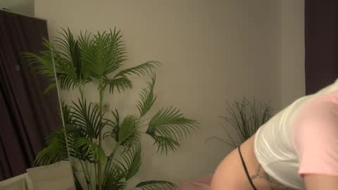 sweetie Selin 3 online show from November 3, 5:42 am