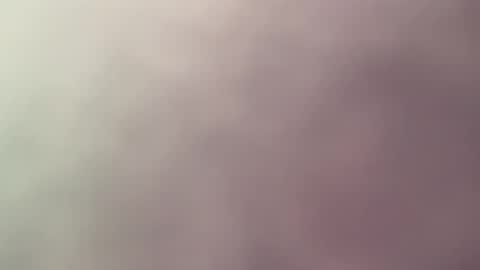 sens3439 online show from February 10, 11:14 am