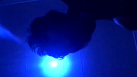 senseisalami online show from November 27, 9:22 am