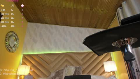 Sharon Mishel  online show from February 17, 6:37 pm