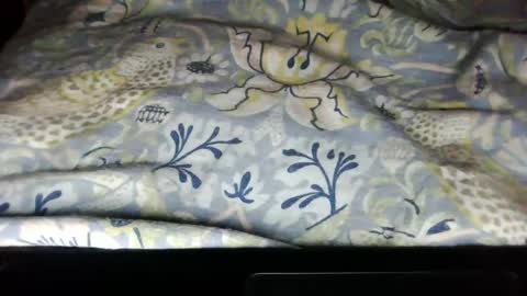 Snapshot of serenathomas chatting on February 5, 12:53 am SerenaLoves online show from February 5, 12:53 am