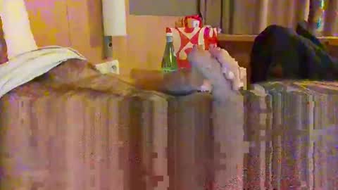 serialfucka69 online show from October 27, 6:56 pm