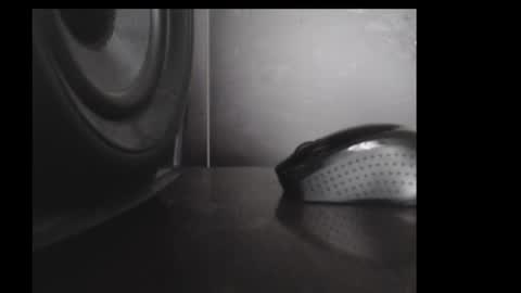 Daniel Taylor online show from November 15, 12:23 pm