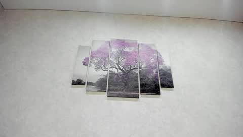 Xenia online show from January 10, 2:34 pm