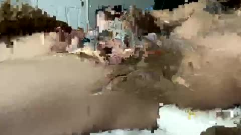 seximexibbc online show from January 11, 6:35 am