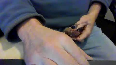 Snapshot of sexmonk1 chatting on December 2, 8:30 am sexmonk1 online show from December 2, 8:30 am