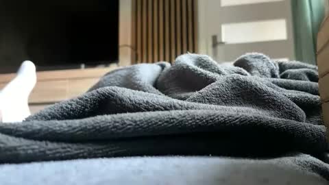 Anna online show from April 26, 4:37 pm