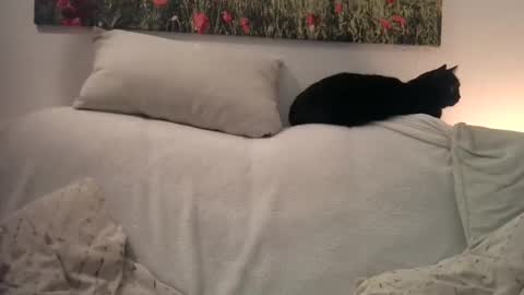 Sexurbation online show from January 1, 10:46 pm