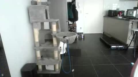 sexy53 online show from February 17, 10:45 am