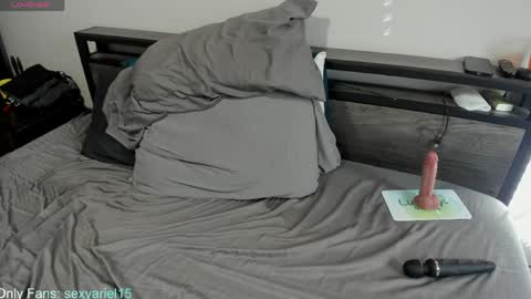 SexyAriel15 online show from April 4, 4:04 pm