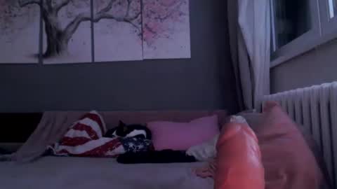     .... ............ Onlyfans   online show from January 29, 11:56 pm