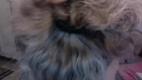 Snapshot of sexyfit58 chatting on December 15, 1:57 am SexyFit58 online show from December 15, 1:57 am