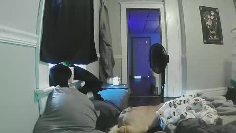 sexystripper69 online show from May 11, 9:12 pm