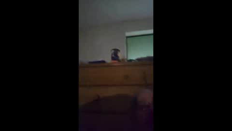 sgtbrown01 online show from April 23, 12:40 pm