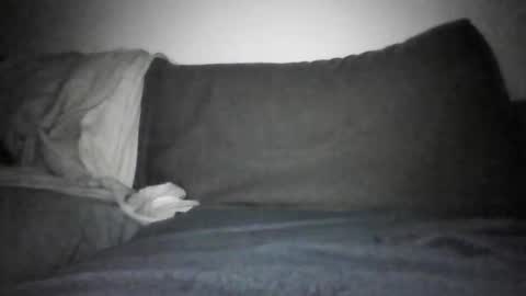 Snapshot of shamefullyshort chatting on December 17, 6:14 pm Shorty online show from December 17, 6:14 pm