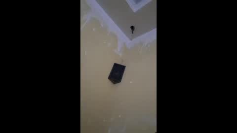 shams444 online show from February 15, 8:16 pm