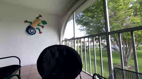 Snapshot of shannalicous chatting on January 5, 8:52 pm Shannon Spears online show from January 5, 8:52 pm