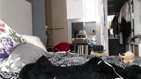 Shannon07 online show from January 13, 2:50 am