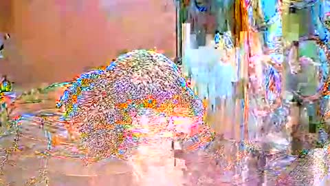 ShanyaRise online show from May 14, 11:39 am