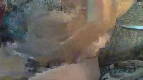 Sharkey644 online show from November 11, 4:40 pm