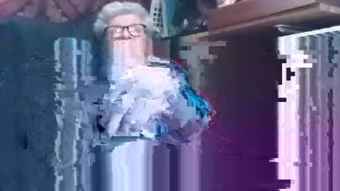 Shamroc online show from December 7, 3:41 pm