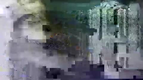 Shashee870242 online show from February 14, 5:25 pm