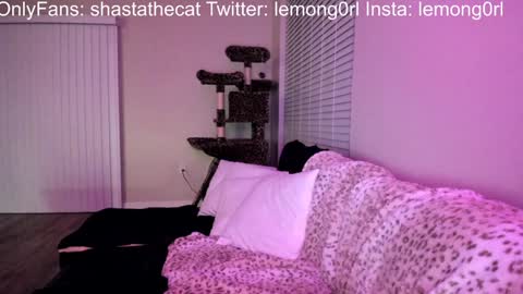 Shasta online show from December 15, 3:56 am