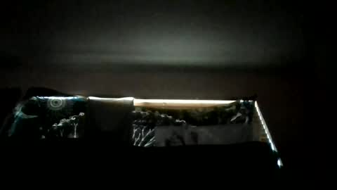 Snapshot of shawty_hung420 chatting on June 18, 1:06 am shawty_hung420 online show from June 18, 1:06 am