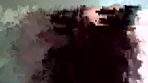 shelfeesh online show from November 18, 9:36 am