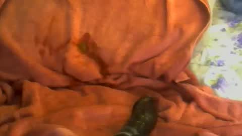 sherbearxrayghost online show from April 7, 3:23 pm