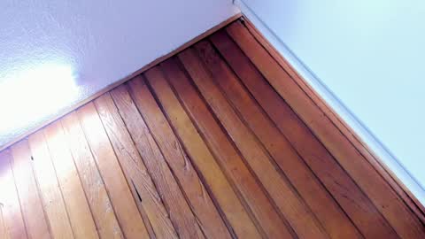 Snapshot of sherydan_love chatting on January 8, 2:14 pm mia online show from January 8, 2:14 pm