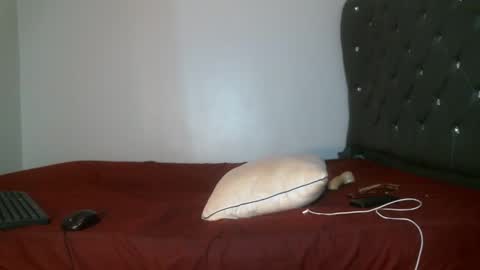 Shi-ro online show from February 17, 8:15 pm