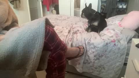 shyboy0533 online show from November 3, 10:49 am