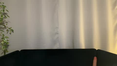 Amelia online show from January 29, 7:00 pm