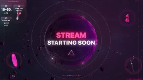 Snapshot of sideswitch chatting on January 13, 2:28 am sideswitch online show from January 13, 2:28 am