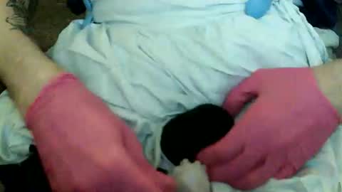 Snapshot of sillymaxxing chatting on November 17, 3:29 pm limpgoon online show from November 17, 3:29 pm