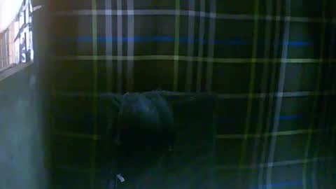 Snapshot of simply__me chatting on February 16, 12:07 am simply__me online show from February 16, 12:07 am