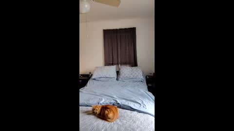 Snapshot of simplysarah1225 chatting on February 17, 4:24 pm simplysarah1225 online show from February 17, 4:24 pm