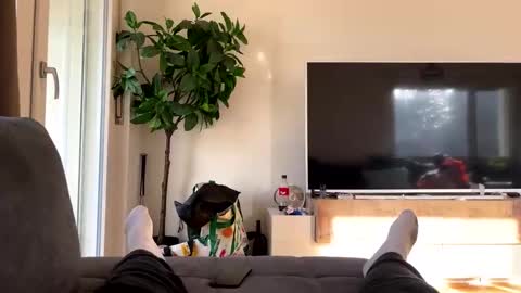 sincarro online show from November 19, 11:21 am