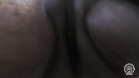 Sir Loin online show from December 5, 9:00 pm