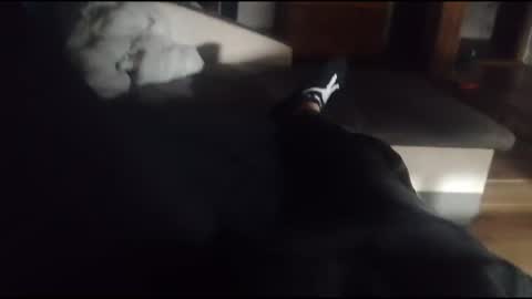 Snapshot of siren666777 chatting on October 16, 5:36 pm siren666777 online show from October 16, 5:36 pm