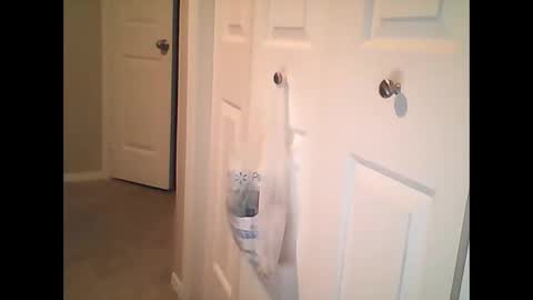 Snapshot of sirenofsin2002 chatting on January 17, 11:40 pm sirenofsin2002 online show from January 17, 11:40 pm